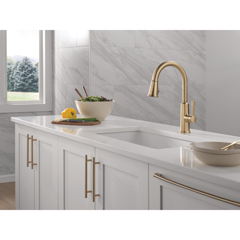 Finnridge Pull Down Kitchen Sink Faucet, Kitchen Faucet with High Pressure ProClean Spray, Champagne Bronze