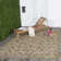 Carolino Performance Oriental Indoor/Outdoor Area Rug