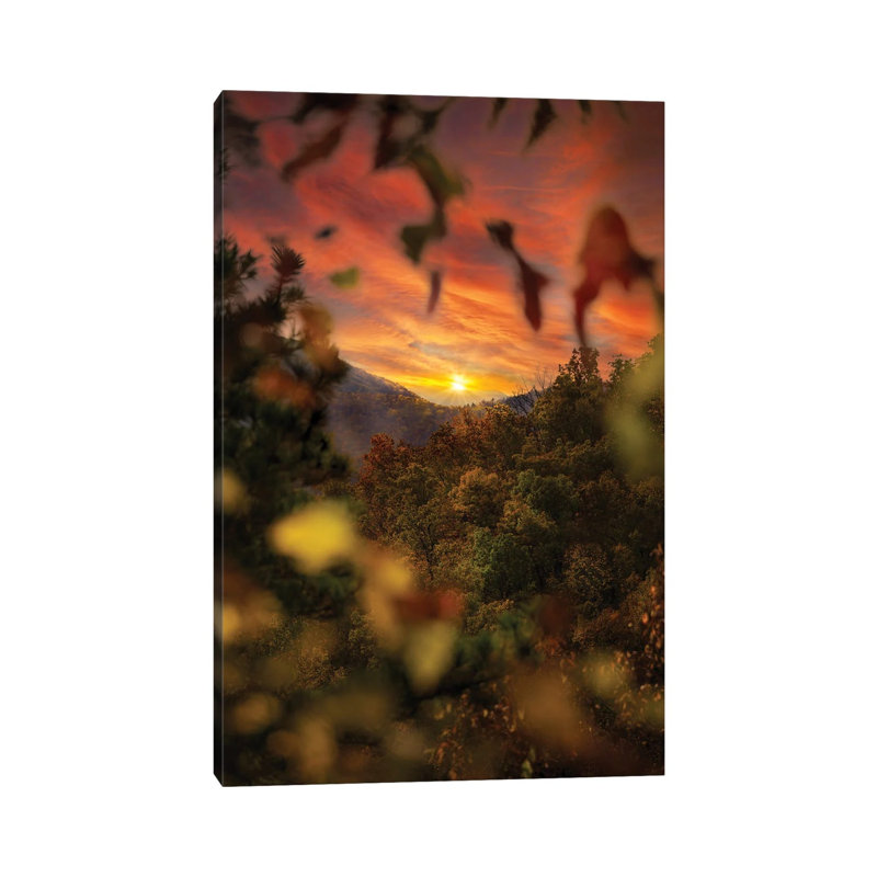 Sunset Through The Trees by Jonathan Ross Photography - Wrapped Canvas Print, 101.6 cm H x 66.04 cm W x 1.91 cm D