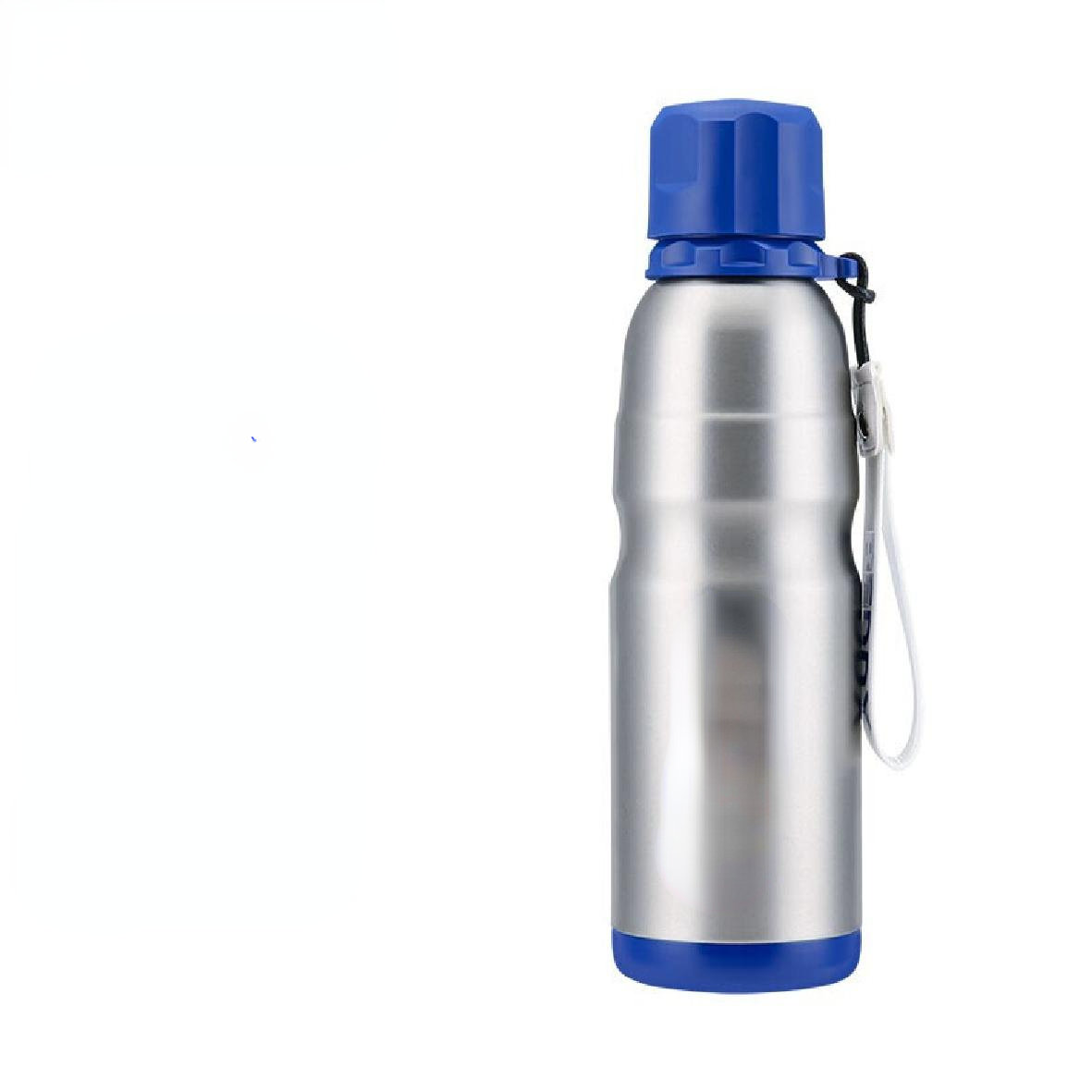 WD Lifestyle 16.9oz. Insulated Stainless Steel Water Bottle WD Lifestyle