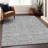 Premium Machine Washable Prisco Silver Rug-1597984785