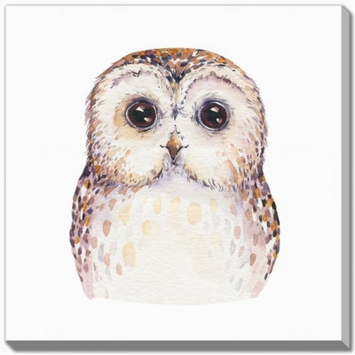 Owl Canvas Wall Art
