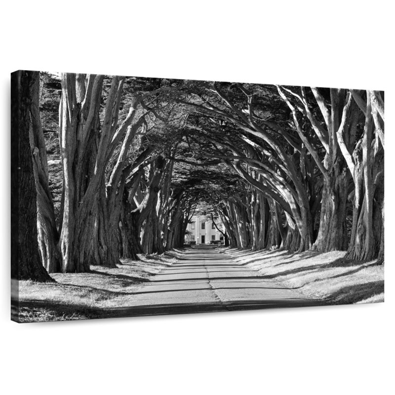 Pavillon Harnek Driveway BW
