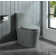 1.1/1.6 GPF Dual-Flush Elongated One-Piece Toilet with 17.13 in. Comfort Seat Height, Ceramic Glazed Surface(Soft Close Seat Included), 4 Colors Option