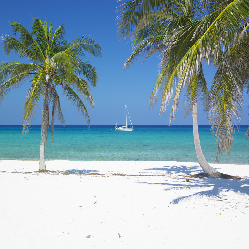 Maria La Gorda Beach - Wrapped Canvas Print, 122cm H x 122cm W x 3.8cm D