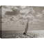 Sailing - Wrapped Canvas Print-1638632680