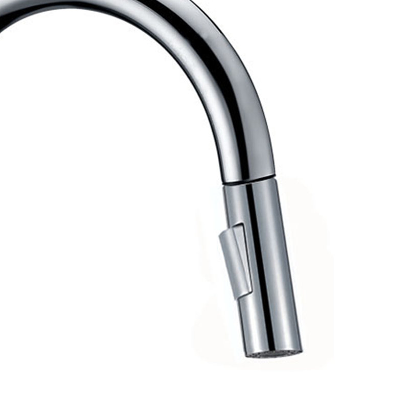 LITTLE TREE Pull Out Kitchen Faucet