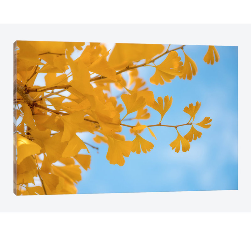 « blue is yellow », reproduction de photo sur toile, H 8 po x l 12 po x P 0,75 po