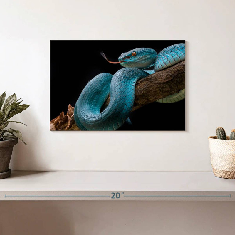 Brampt Slithering Blue Viper, 8" H x 12" W