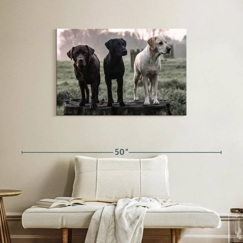 Brampt Labrador Dogs, H 26 po x l 39 po