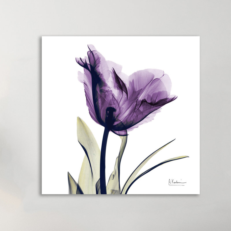 Tulip Dream - Wrapped Canvas Print, 46 cm H x 46 cm W