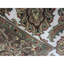 Trinity Wool Oriental Area Rug in Brown/Taupe