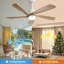 Ventilateur de plafond 52 pouces avec lumière DEL à intensité variable et 5 pales en bois massif
