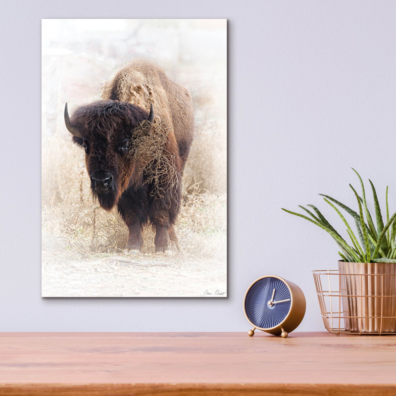 Art mural en verre acrylique "debout Buffalo 2" par David Drost, 12 po x 16 po