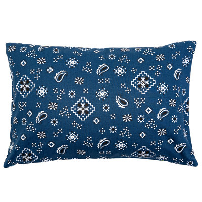 Allen Paisley 100% Cotton Reversible Throw Pillow