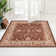 Oriental Indoor Rug