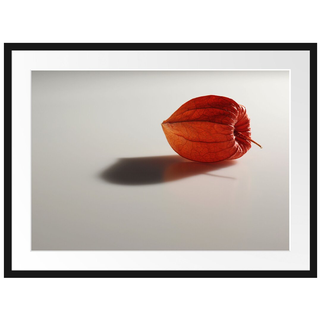 Gerahmtes Poster Kleine Physalis