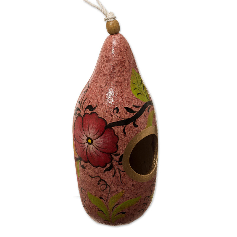 Maison d'oiseaux 11,5 po x 4 po x 0,5 po Gourd