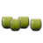 Textured Palm Green