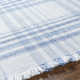 Cay Plaid Handmade Flatweave Recycled P.E.T. Area Rug in Blue/White