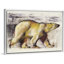 «Ours polaire» par Mark Adlington, impression sur toile
