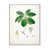 Cadre flottant blanc