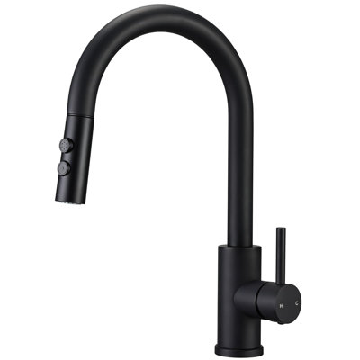 Metro Lane Daury Kitchen Faucet