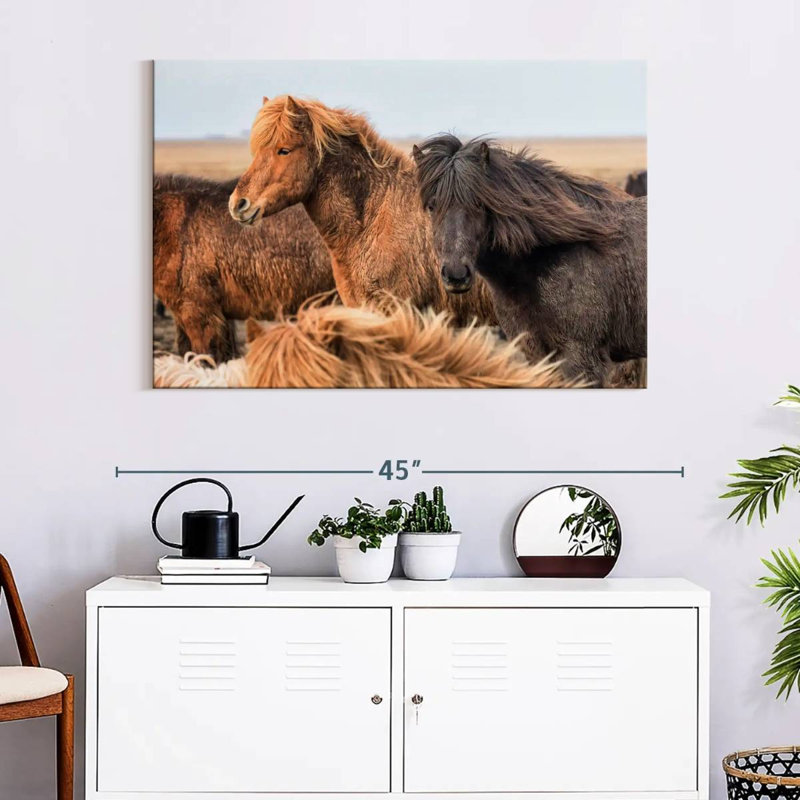 Brampt, chevaux islandais dans la campagne du douzième, H 26 po x l 39 po