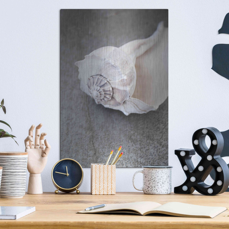 " Conch On Grey Stone " by Elena Ray, 16" H x 12" W