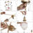 Jasrah 5 - Light Modern Candle-Style Frosted Glass Shade Gold Chandelier