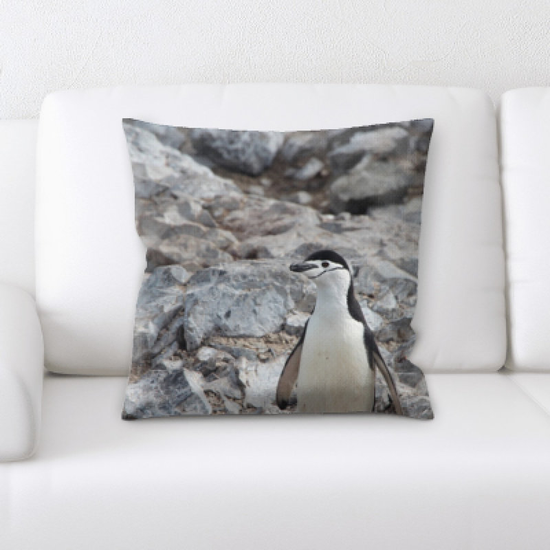 Coussin décoratif animal