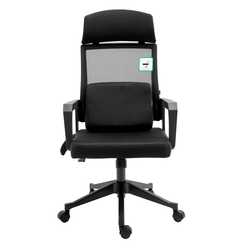 Biddick Polyester Blend Office Chair with Headrest, Black