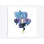 «Brighton Blooms IV», impression sur toile-29177754-72784477-72784478