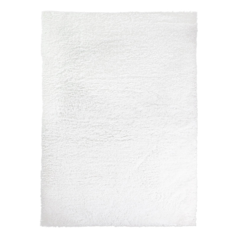 Tapis blanc à poils longs Ambriz, Rectangle 5 pi x 7 pi