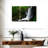 Alvord Lush Green Waterfall-107954623