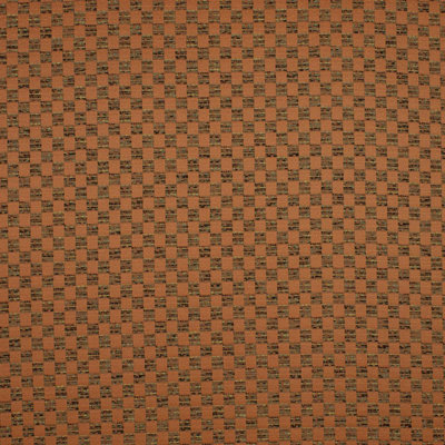 Tissu Tigress