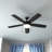 Stembridge 52'' Ceiling Fan with LED Lights-805818255-867275345
