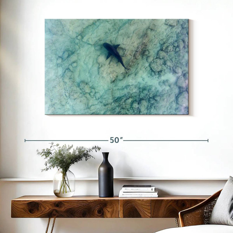 Brampt Sea Of Cortez Bull Shark, 26" H x 39" W