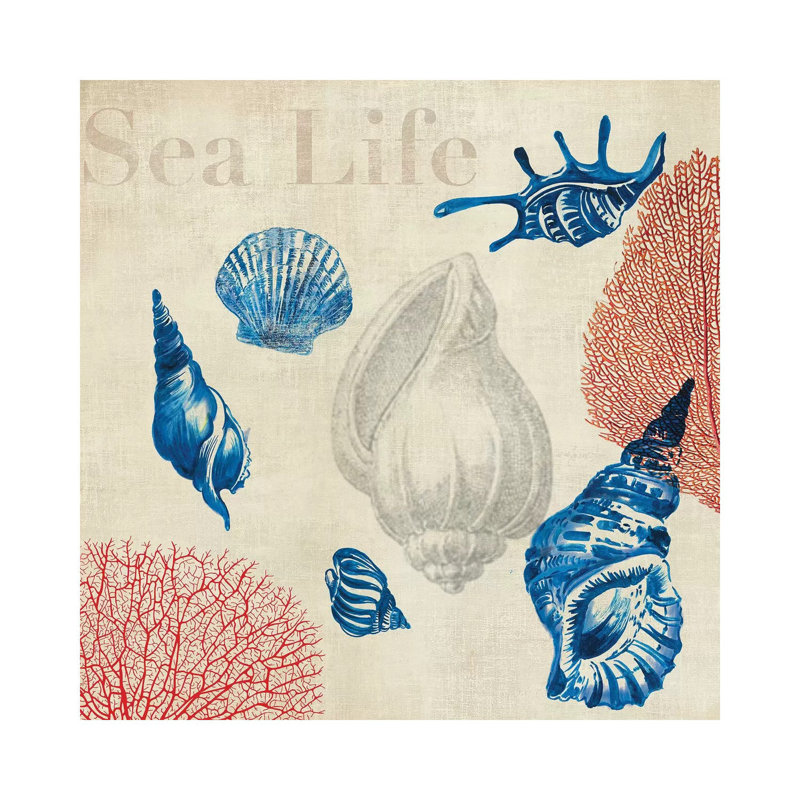 Sea Life Study by Aimee Wilson - Wrapped Canvas Gallery-Wrapped Canvas Giclée, 30.48 cm H x 30.48 cm W