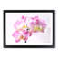Pink Orchid Flower - Single Picture Frame Print on MDF-56704904-56704906