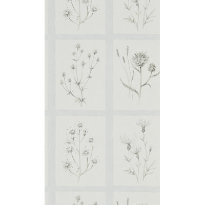 Thistles 10.05m x 52cm Matte Wallpaper Roll