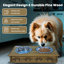 Mangeoire surélevée Sassy Paws-41179309