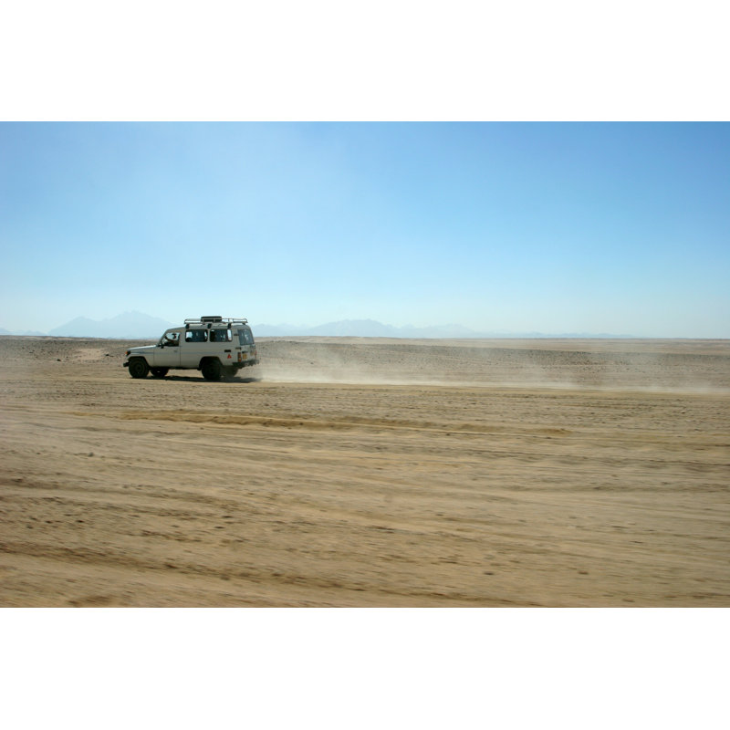 Safari dans le désert par Luke1138, H 32 po x l 48 po