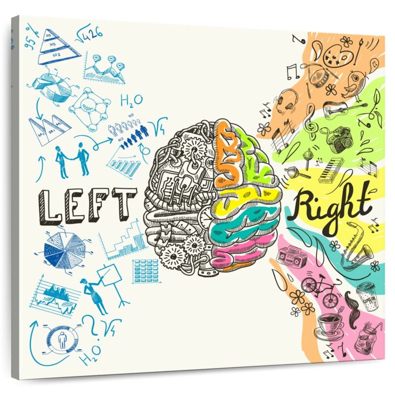Alcaraz Brain Hemispheres
