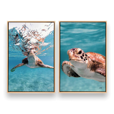 Sea Turtles' Path Set of 2 Canvas Prints in a Black Frame, 18" X 12"