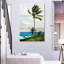 Palmier Gillard Nassau-108589161