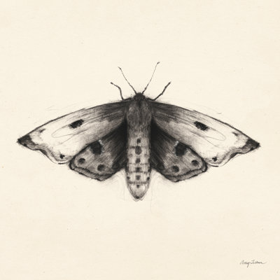 «Moth I Sq On Canvas» par Avery Tillmon