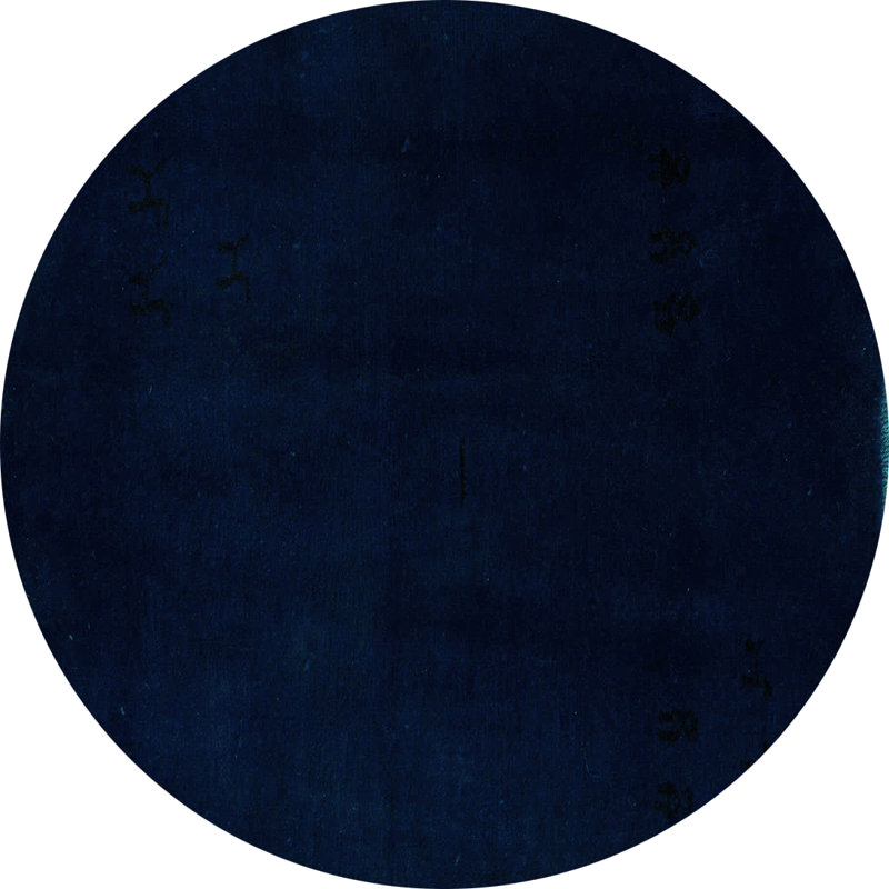 Lenon Performance Indoor Rug, Round 5'