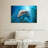 Brampt Dolphin Close Up-108690329