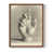 Noyer
